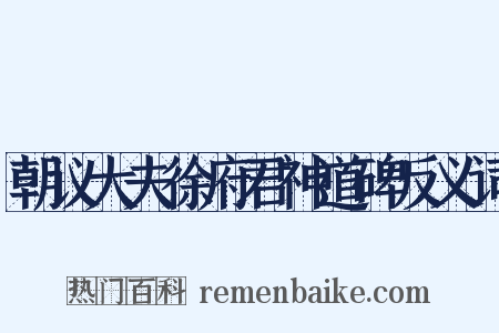 朝议大夫徐府君神道碑反义词是什么意思的图片